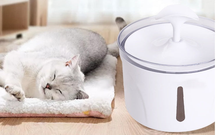 PurrFlow - Smart Pet Fountain Dispenser