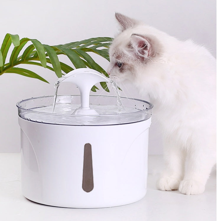 PurrFlow - Smart Pet Fountain Dispenser